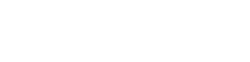 BGIS logo