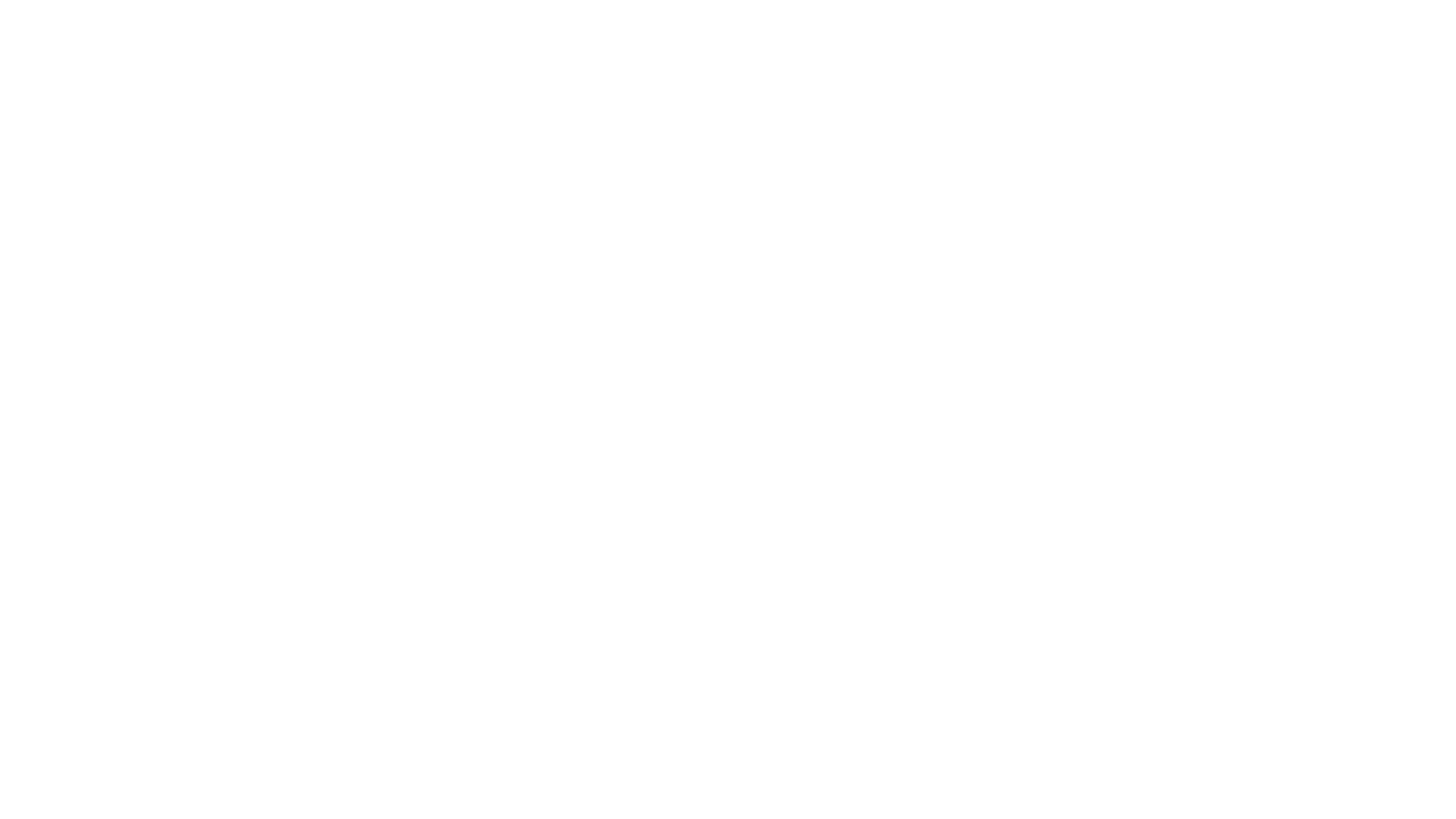 Four Seasons Logo